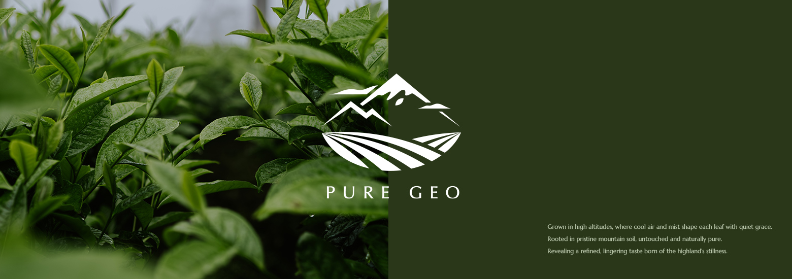 Pure Geo 喬治亞茶葉 品牌識別設計電腦版主視覺