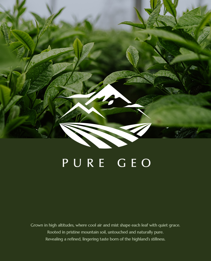 Pure Geo 喬治亞茶葉 品牌識別設計手機版主視覺