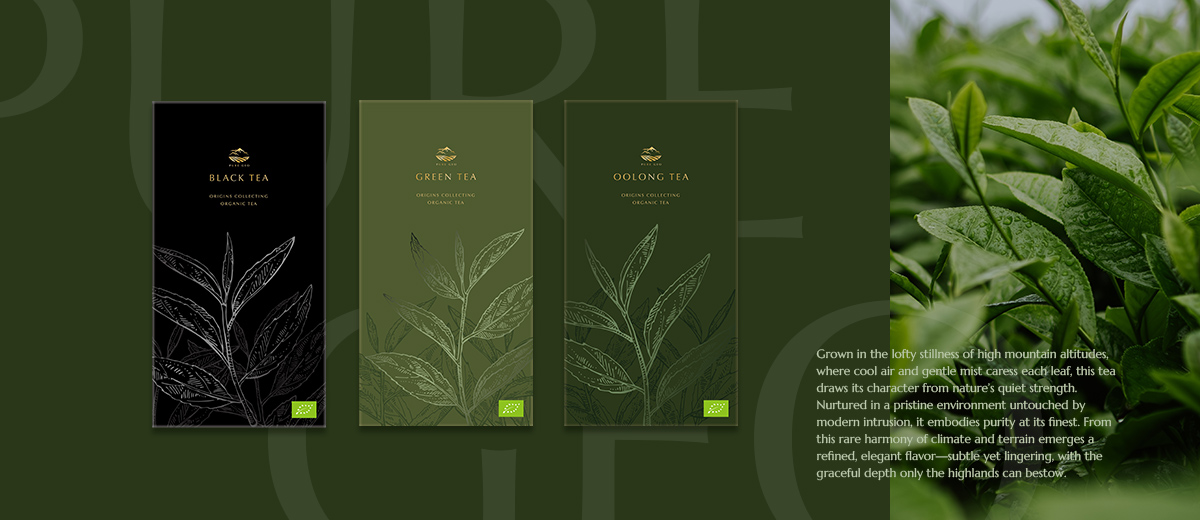 【Pure Geo 喬治亞茶葉】品牌規劃